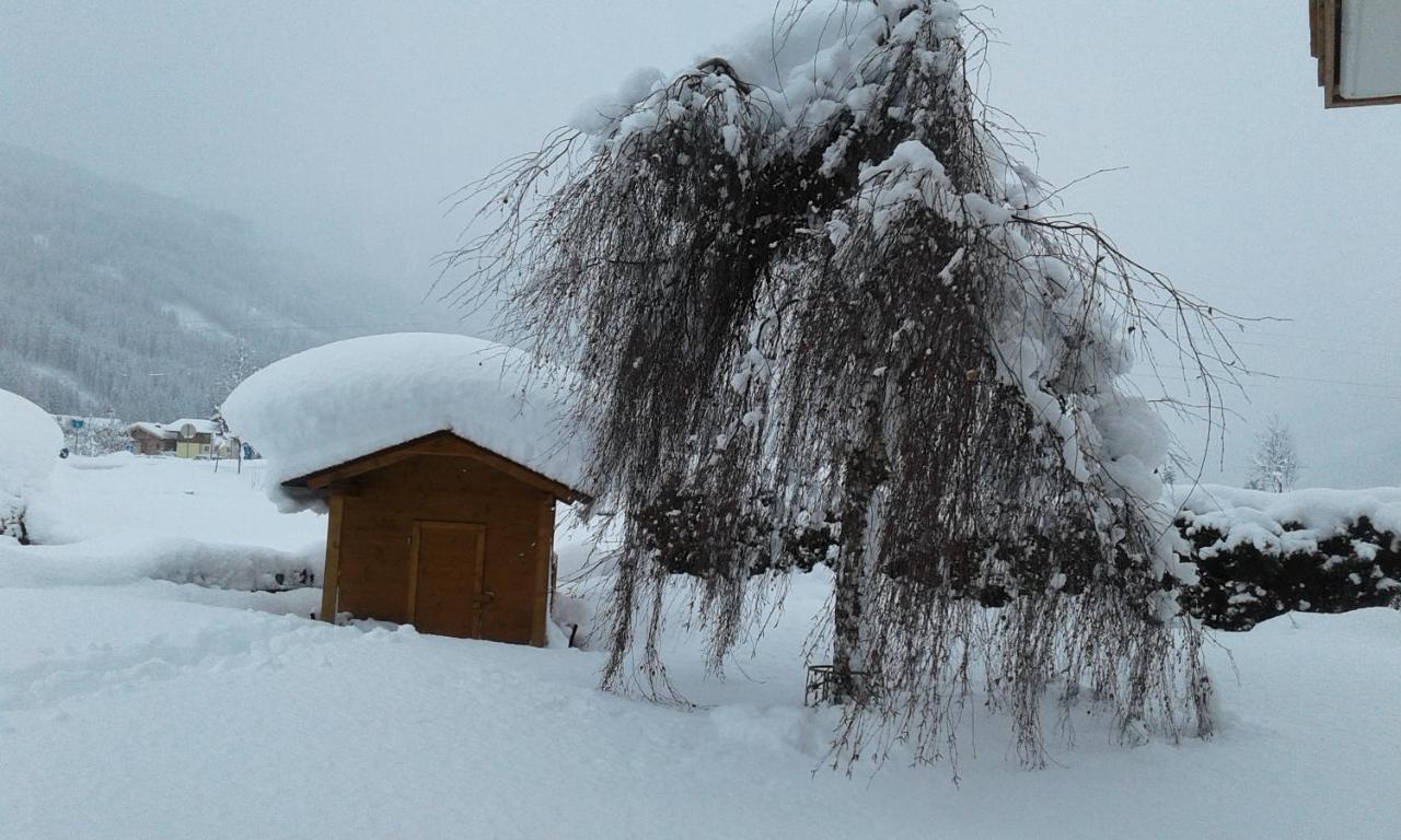 Apartamento Haus Kirchner Flachau